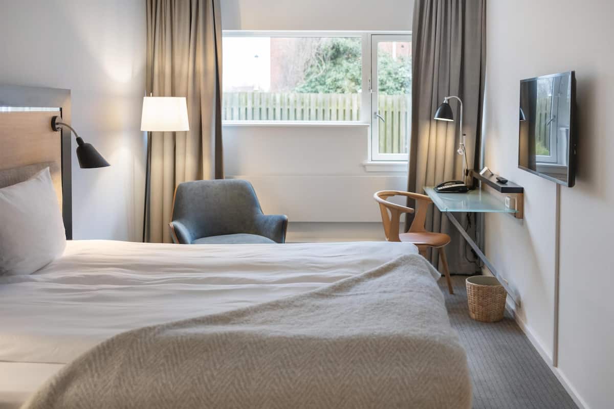 Habitación estándar con 2 camas individuales | Ropa de cama hipoalergénica y escritorio