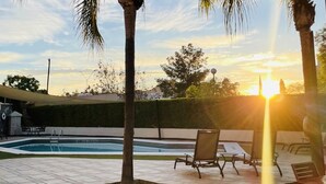 Una piscina con sillas de descanso, palmeras y un seto al fondo.
