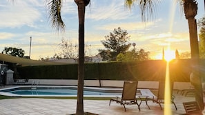 Una piscina con sillas de descanso, palmeras y un seto al fondo.