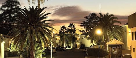 A residential street at dusk with palm trees, street lamps, and parked cars.