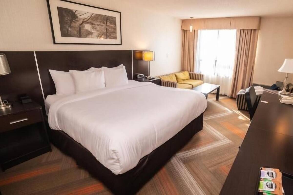 A hotel room with a large bed, a desk, a chair, a TV, and a painting on the wall.