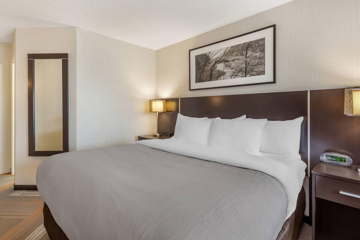 A hotel room with a large bed, a bedside table with a lamp, a framed picture on the wall, and a digital clock.