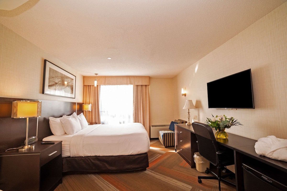 مكتب ومساحة عمل للكمبيوتر المحمول ومكواة/لوح كي وملاءات أسرّة