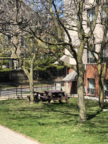 Área de parrillas y picnic