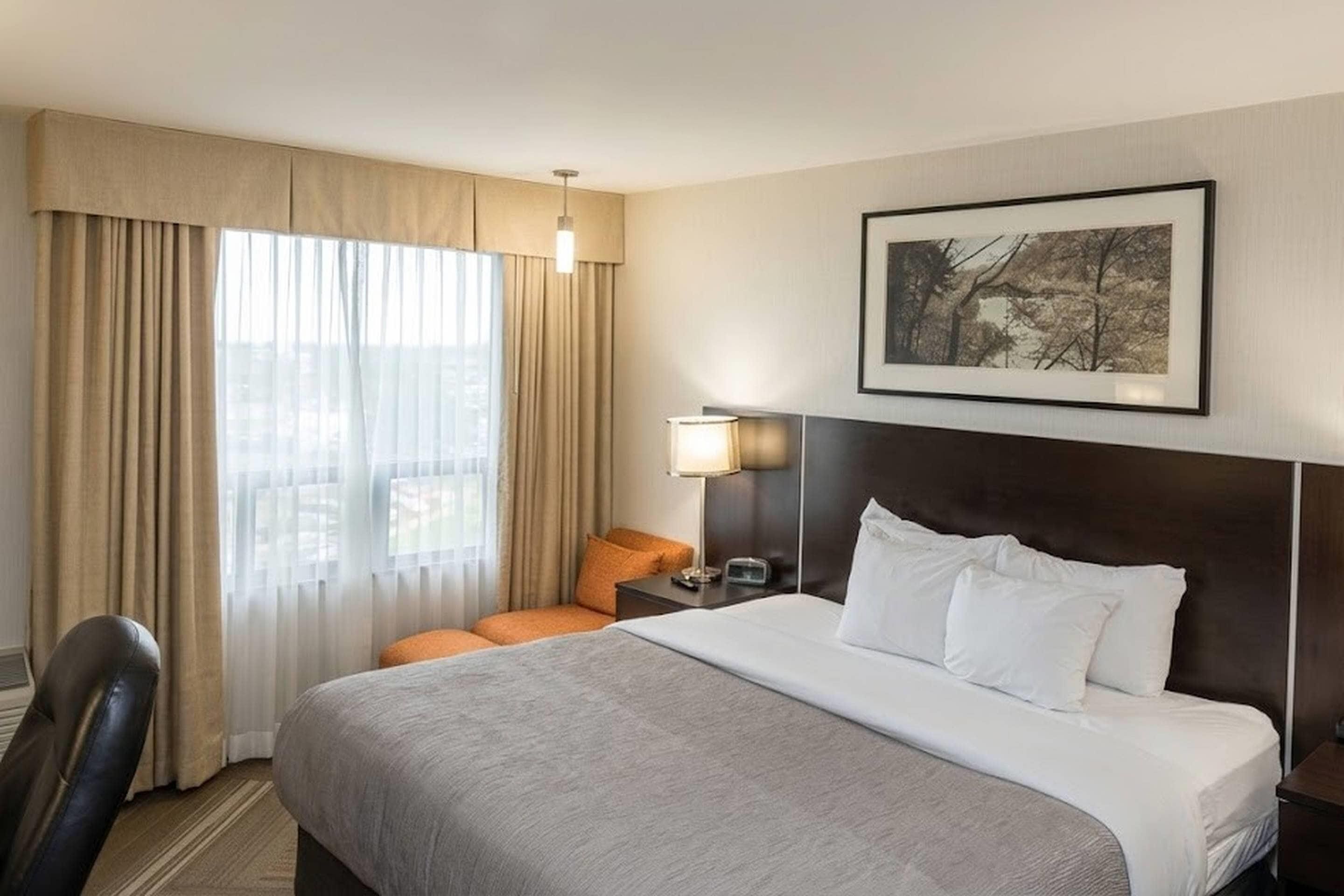 A hotel room with a large bed, a desk, a chair, a lamp, and a framed picture on the wall.