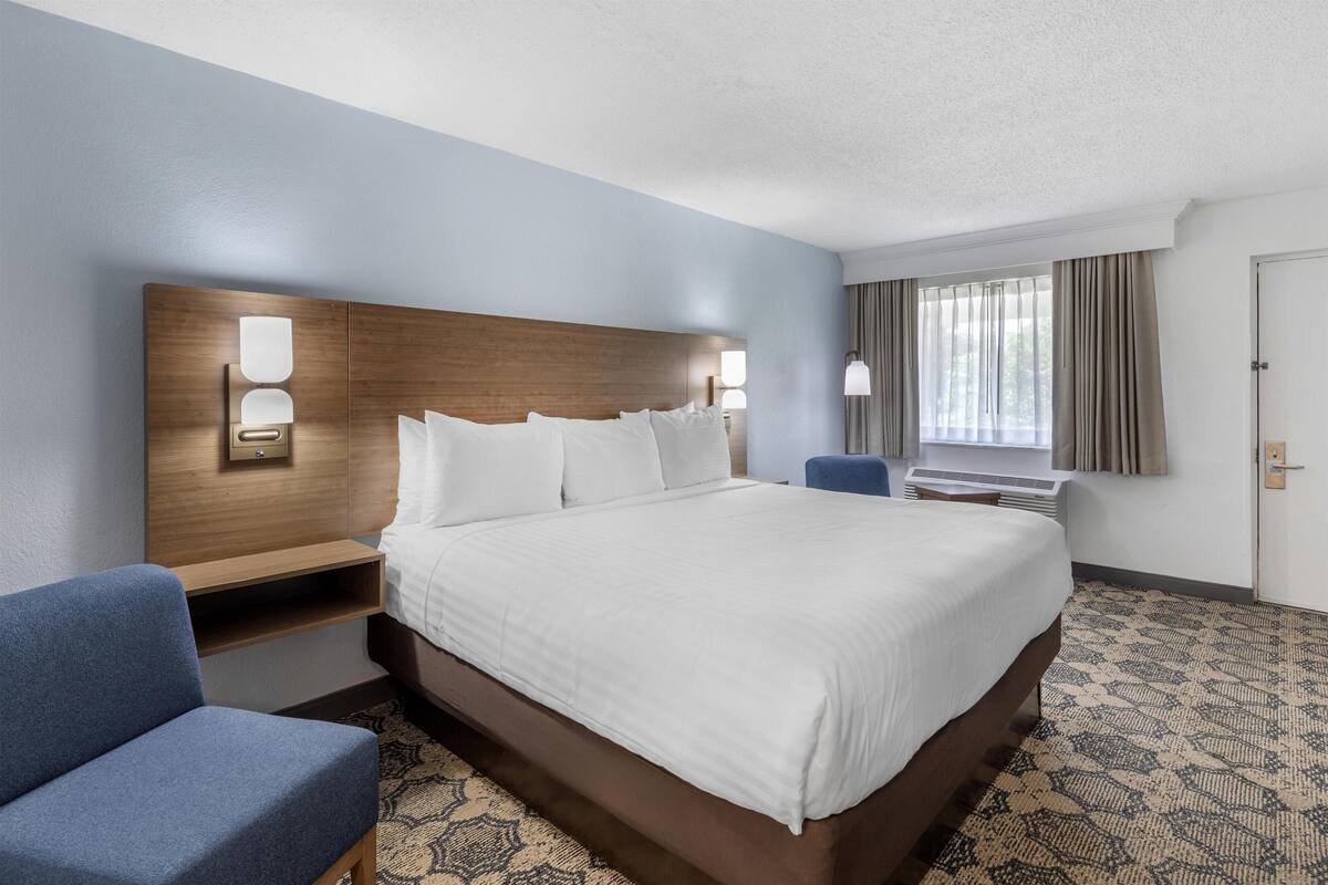 Standard Room, 1 King Bed, Refrigerator & Microwave, Courtyard View | Desk, laptop workspace, blackout curtains, iron/ironing board