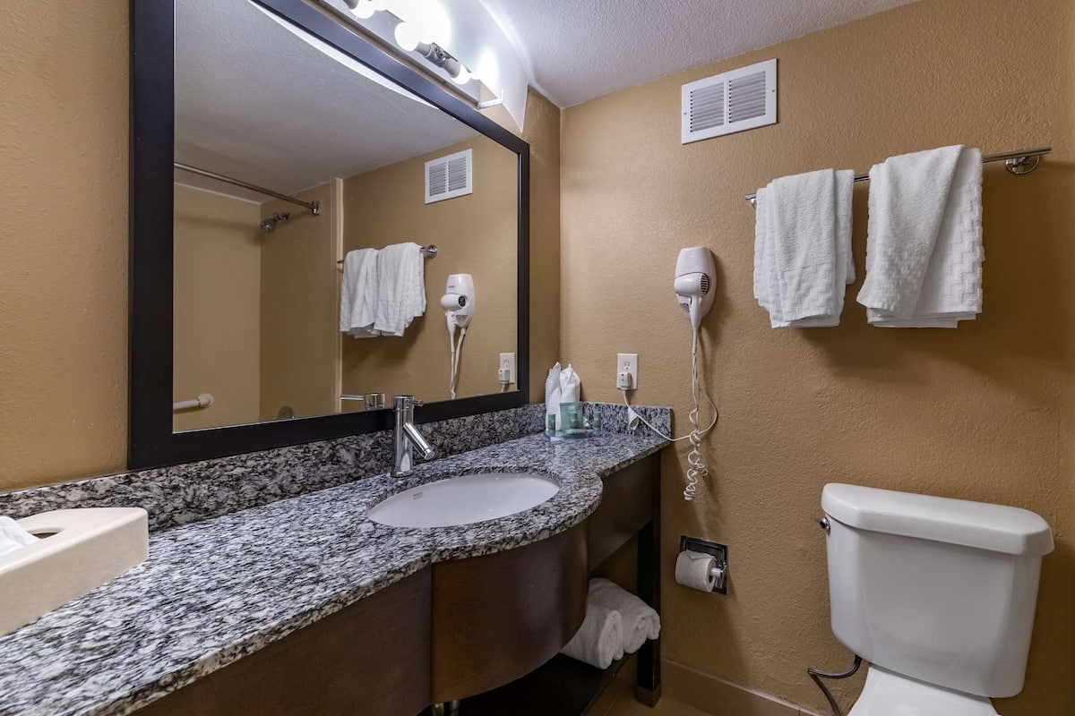combined shower/bathtub, free toiletries, hair dryer, towels