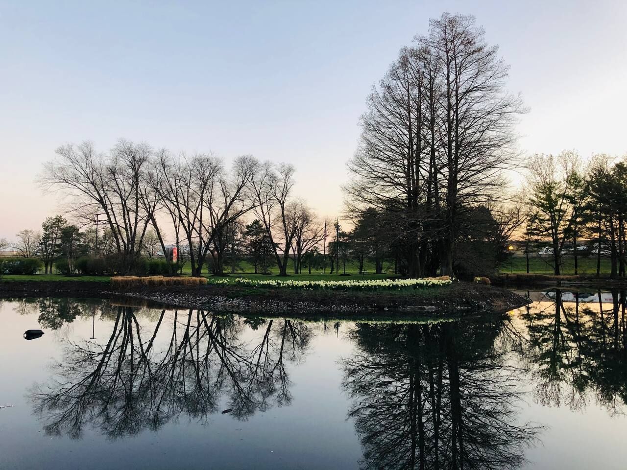 Um lago calmo com reflexos de árvores e um céu limpo.