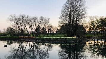 Um lago calmo com reflexos de árvores e um céu limpo.