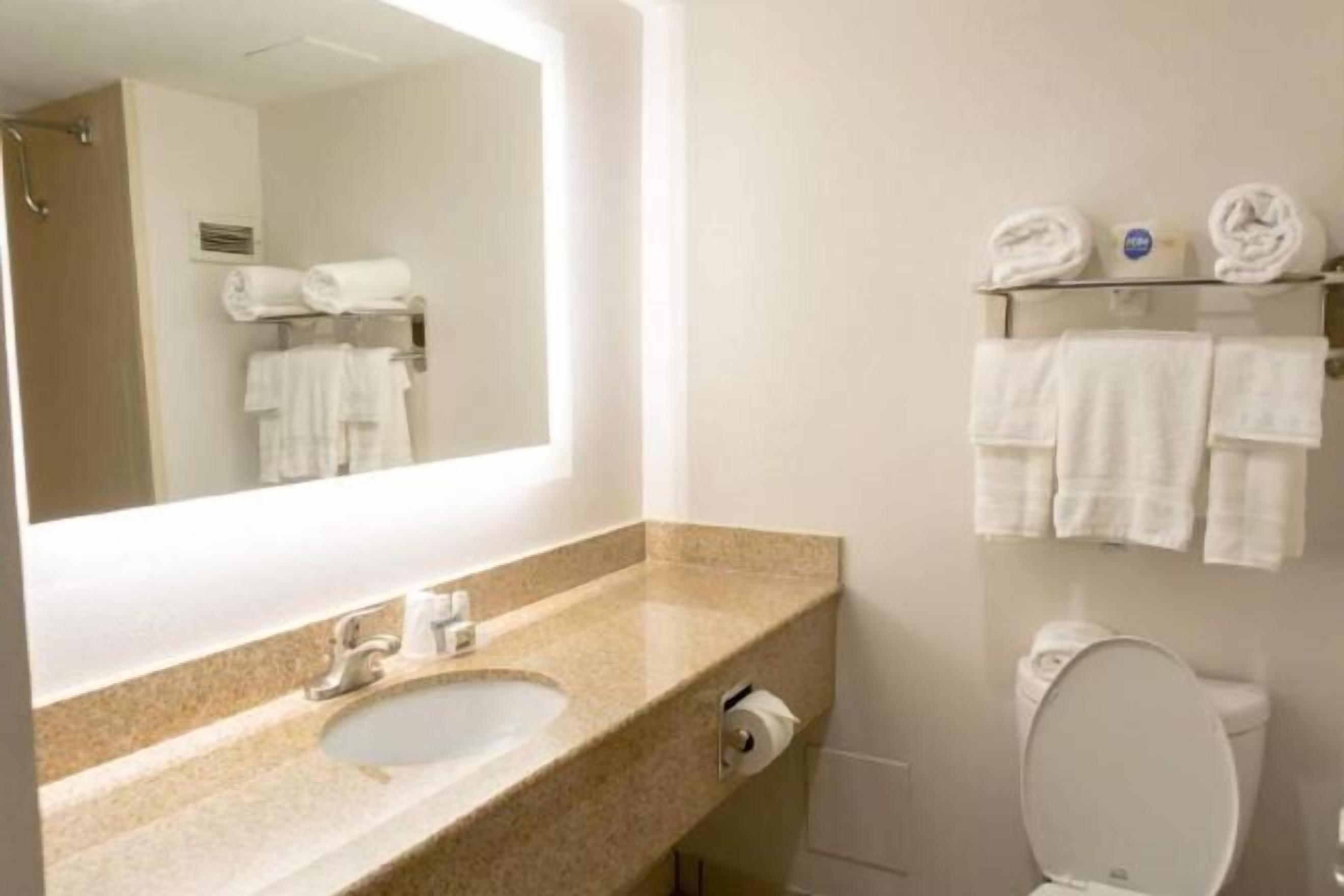 バスアメニティ (無料)、ヘアドライヤー、タオル