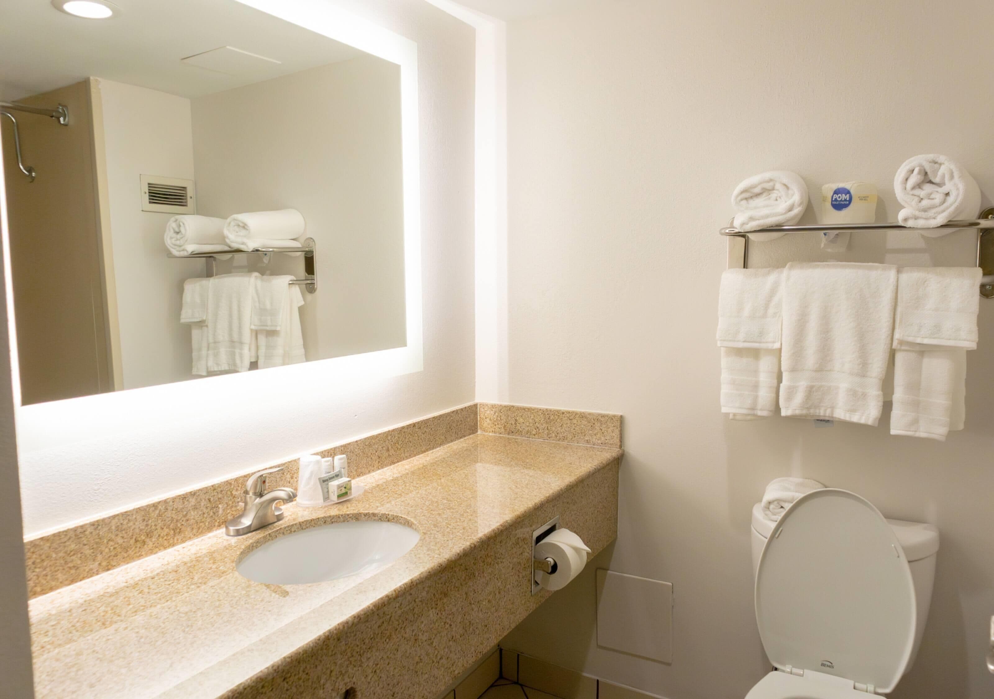 Un baño con lavamanos, inodoro y perchero para toallas.