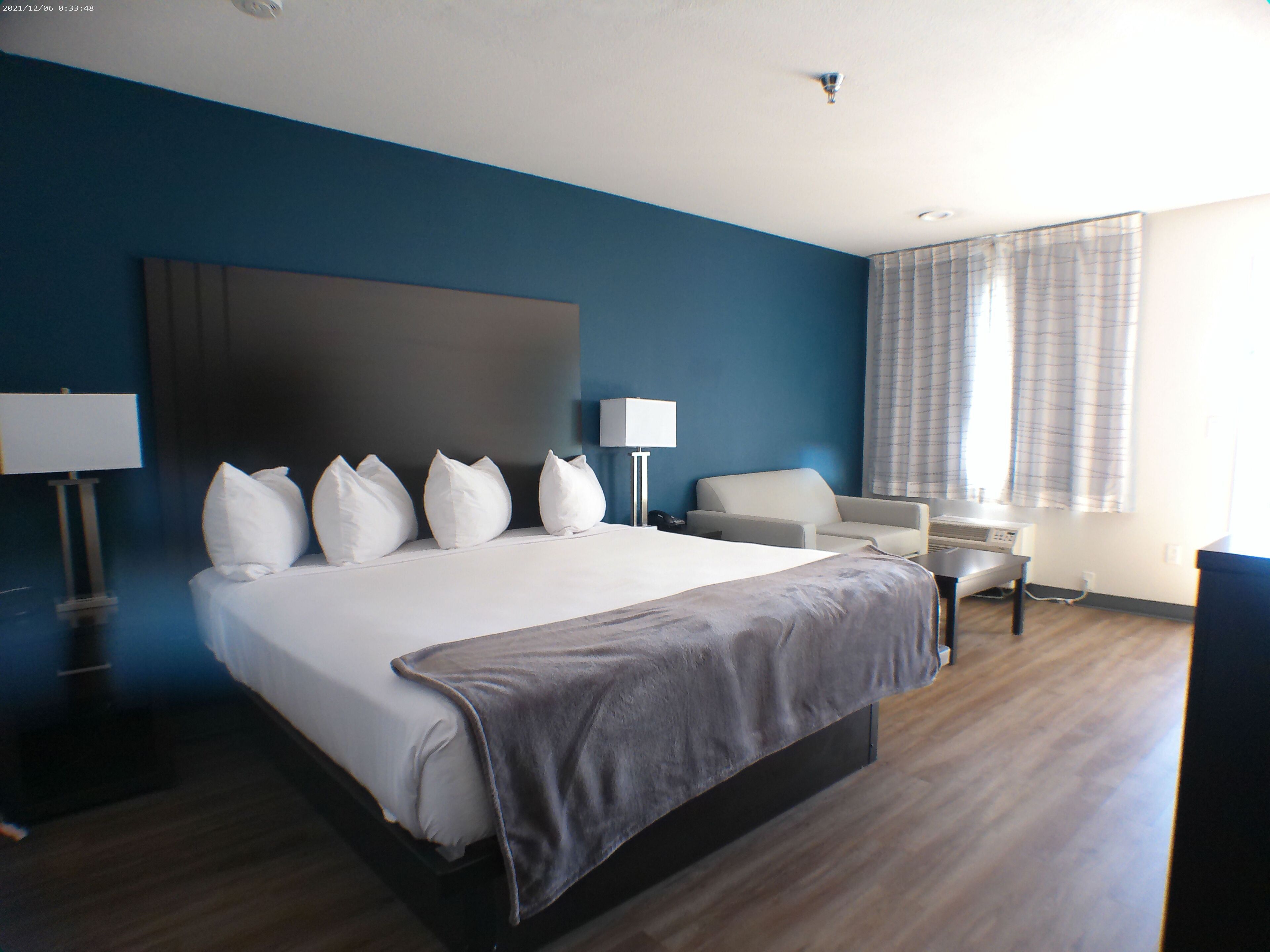 华丽开间套房, 1 张特大床 | 办公桌、笔记本电脑工作区、遮光窗帘、免费 WiFi