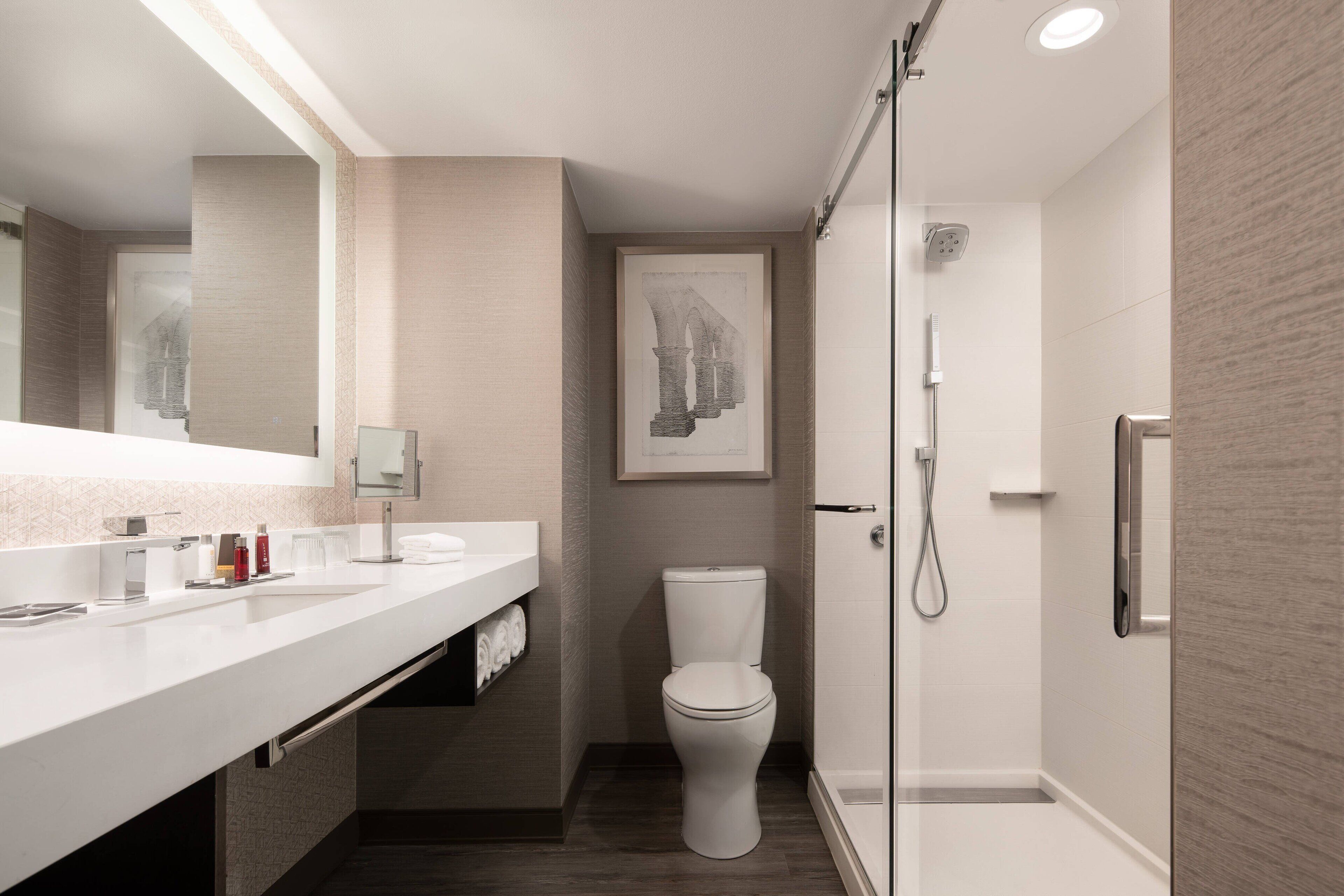 combined shower/bathtub, free toiletries, hair dryer, towels