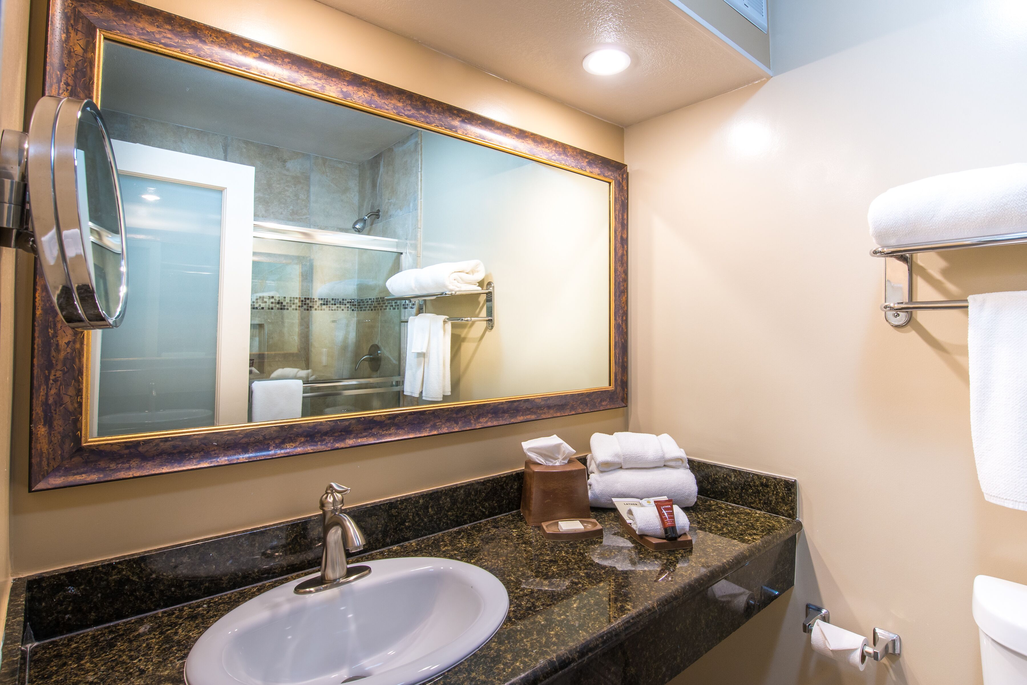 combined shower/bathtub, rainfall showerhead, free toiletries