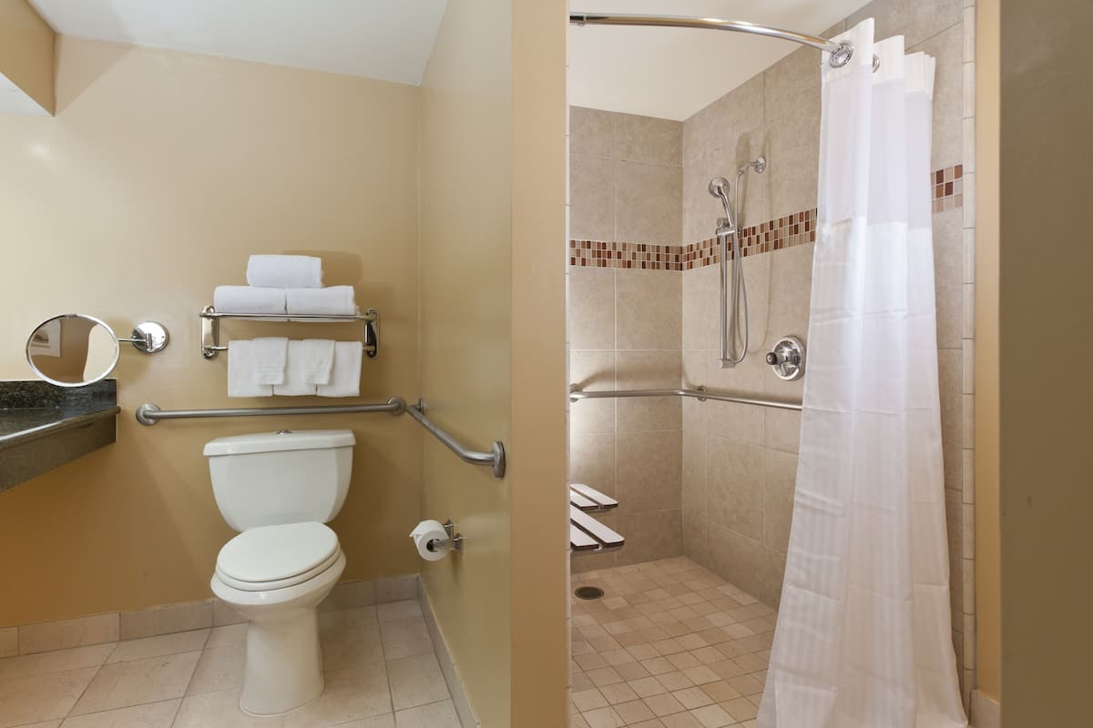 Room, 1 Double Bed, Accessible | Bathroom