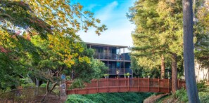 A modern building with a glass facade, surrounded by lush greenery and a wooden bridge. - Creekside Inn (Palo Alto)