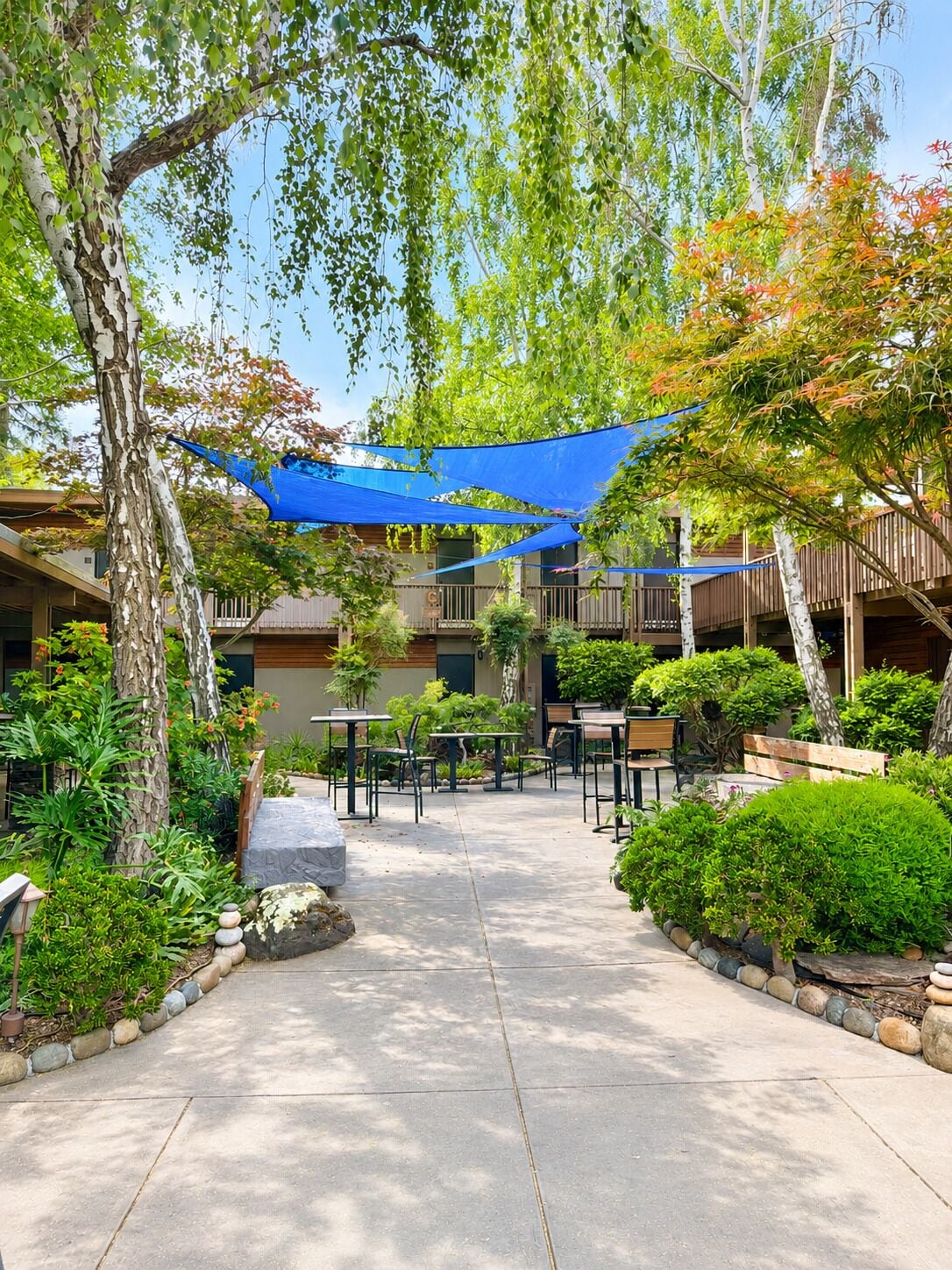 An outdoor patio area with tables and chairs, surrounded by greenery and trees.