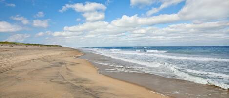 A beach with a sandy shore and waves.