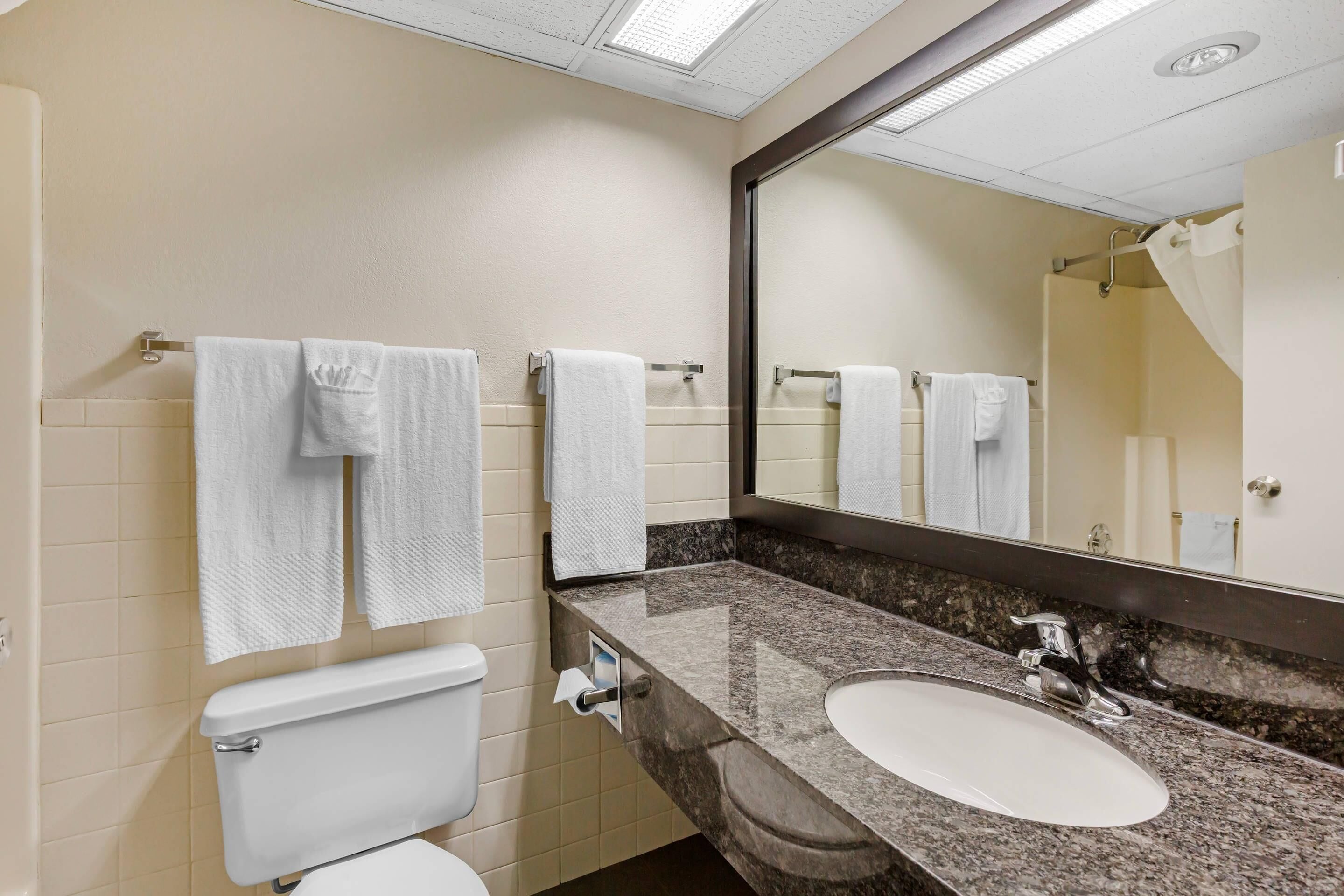 Baño con inodoro, lavabo y espejo.