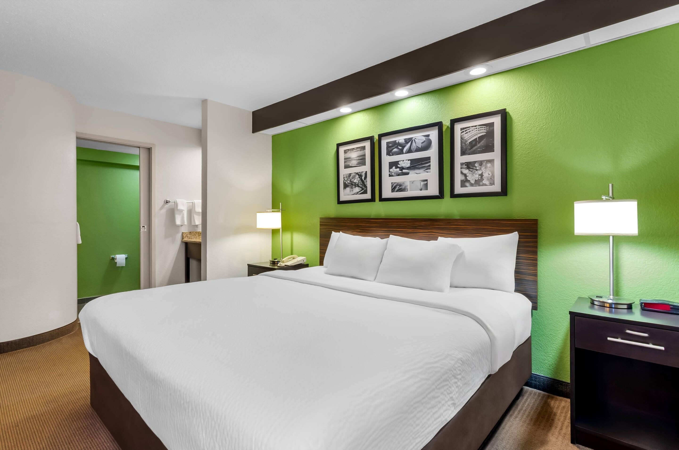 标准房, 1 张特大床, 无烟房 | 客房内保险箱、办公桌、熨斗/熨衣板、免费婴儿床