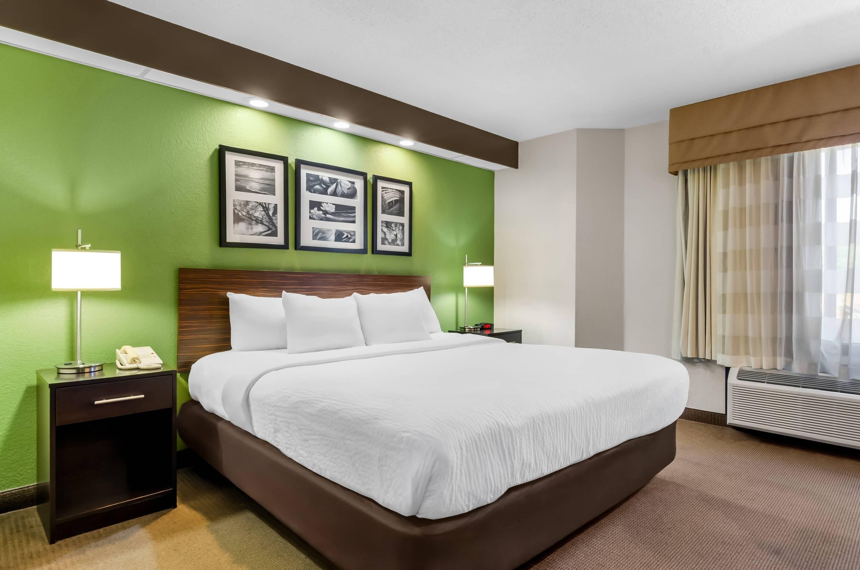 Habitación de hotel con una cama grande, paredes verdes, cuadros enmarcados, lámparas de noche y una ventana con cortinas.