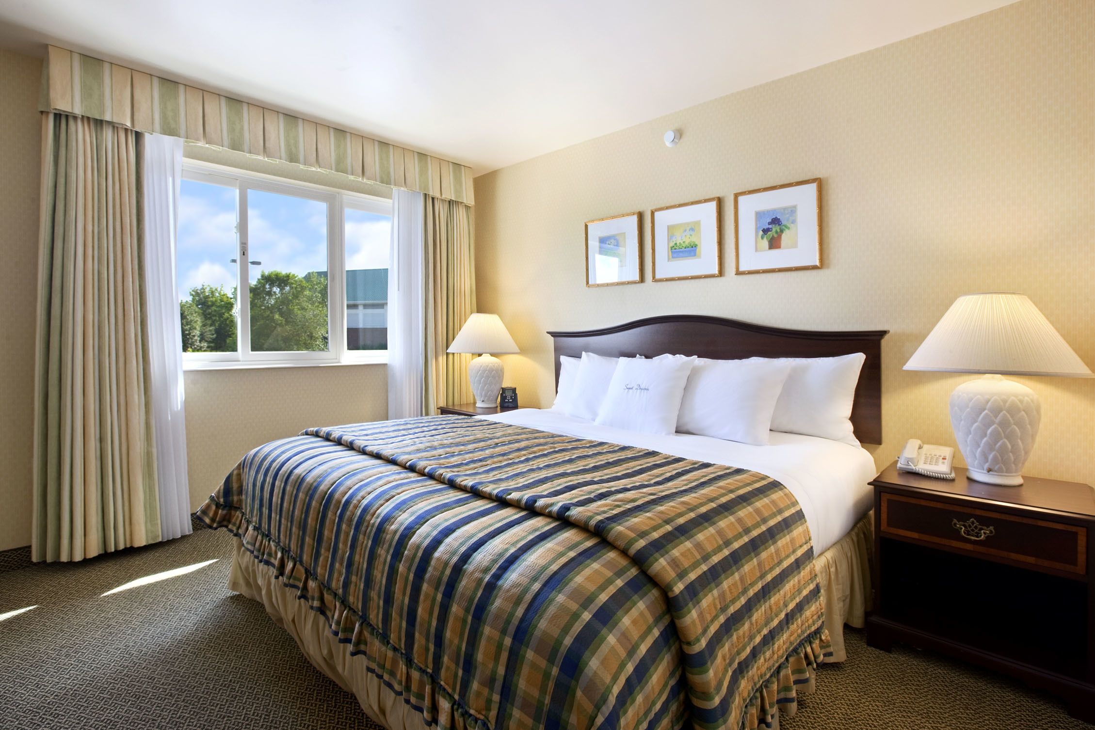 Suite, One King Bed | Premium bedding, desk, blackout drapes, iron/ironing board