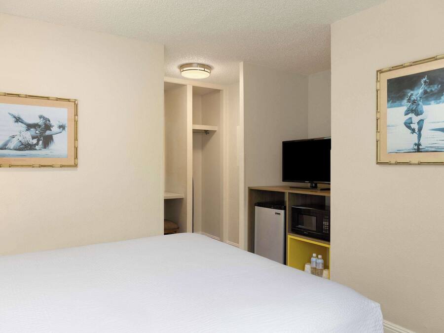 A hotel room with a bed, a television, a microwave, and a refrigerator.