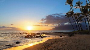 A beach with a sunset, palm trees, and a rocky shoreline.