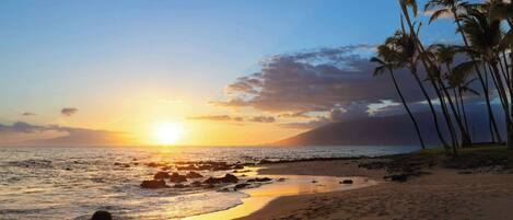A beach with a sunset, palm trees, and a rocky shoreline.