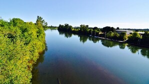 Un río tranquilo con vegetación densa en una orilla y un cielo despejado.