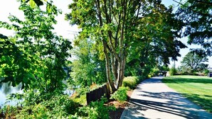 Un sendero a lo largo del agua, con árboles y arbustos.