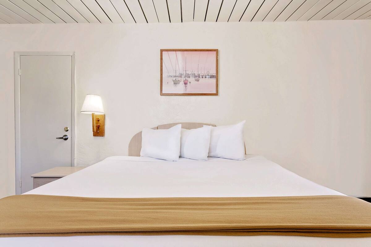 Room, 1 King Bed
