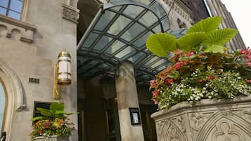 Entrada de la propiedad