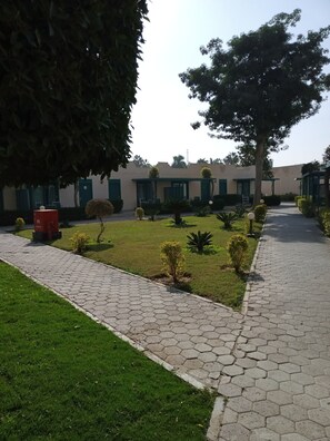 Garden view