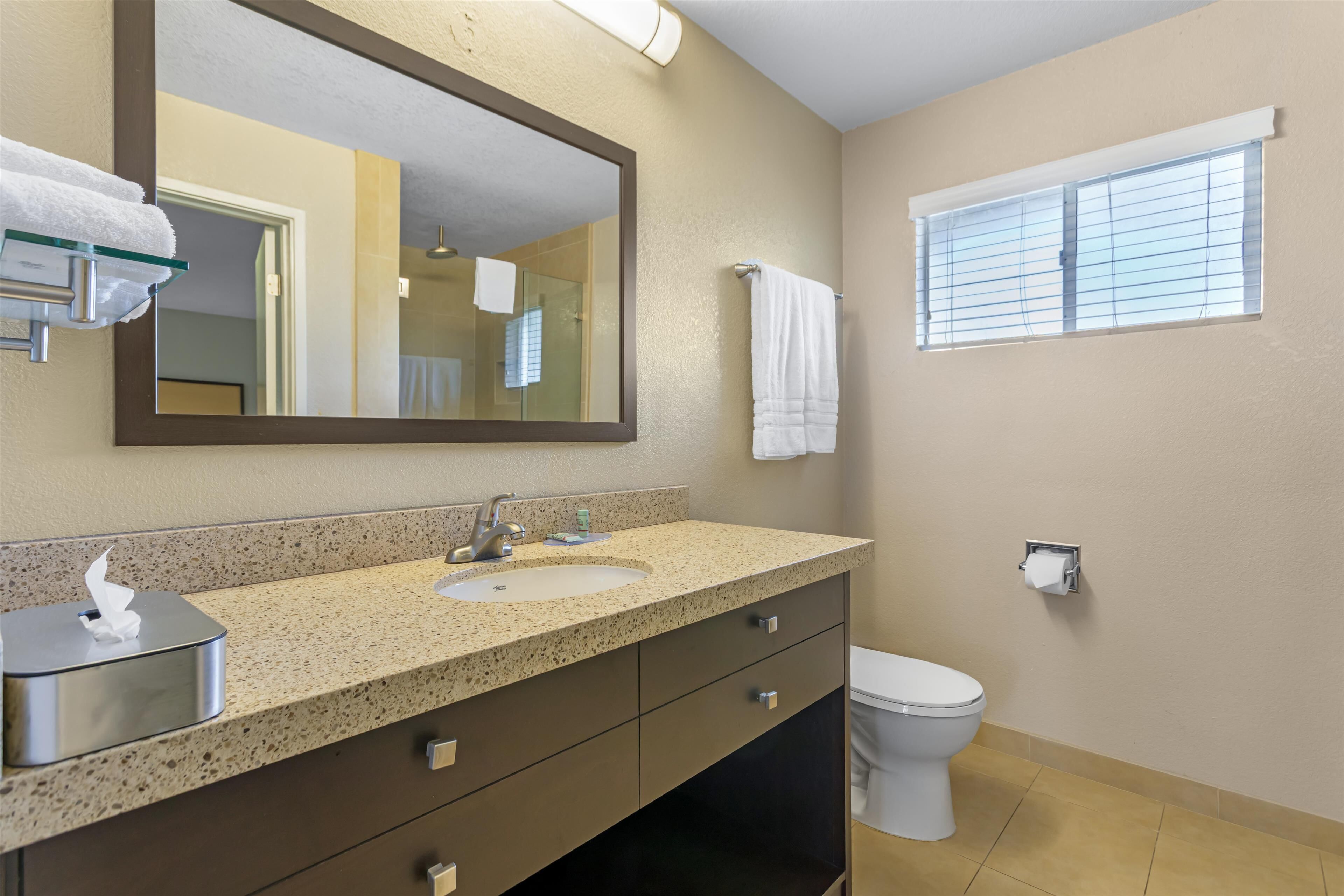 A bathroom with a double sink, a large mirror, a toilet, and a window with blinds.