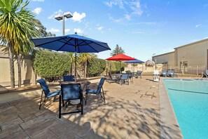 Outdoor pool, pool loungers