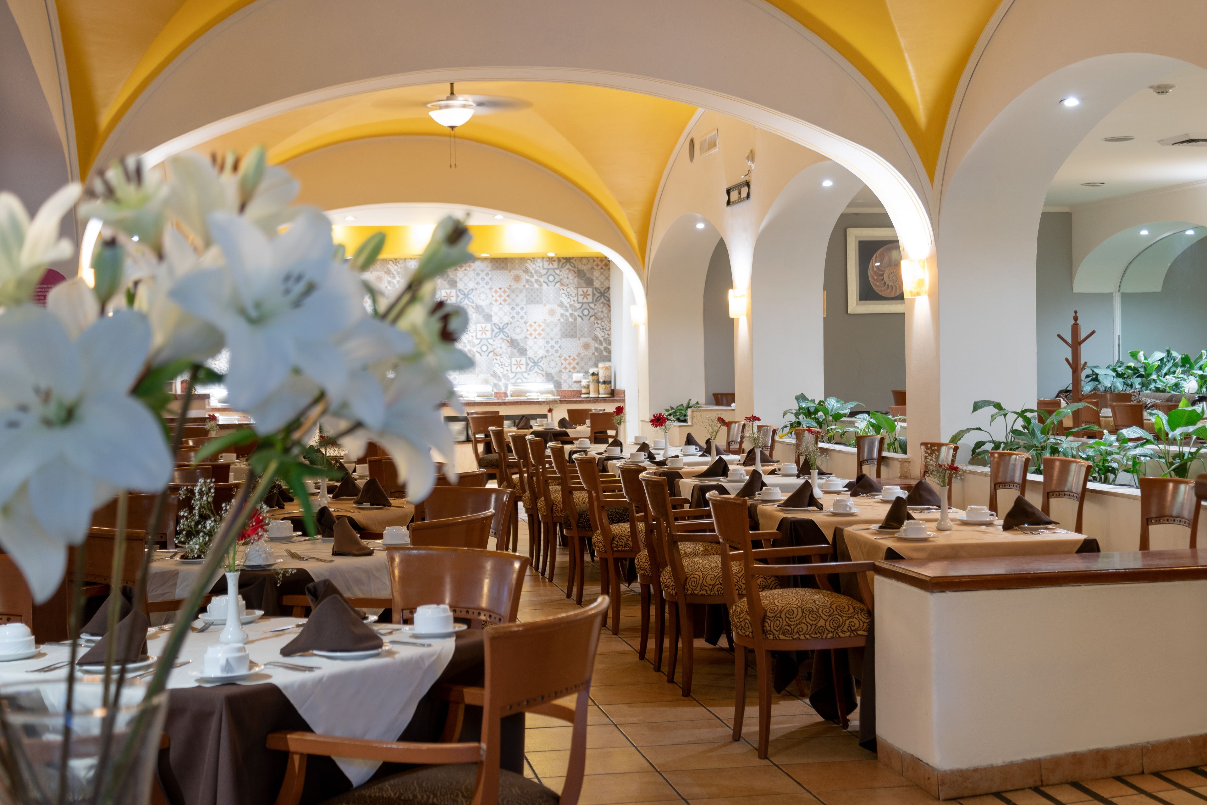 Foto - Holiday Inn Guadalajara Expo Plaza del Sol by IHG