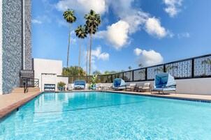 Una piscina con sillones de descanso y palmeras al fondo.