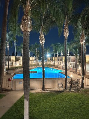 A swimming pool surrounded by palm trees and a fenced area with lounge chairs.