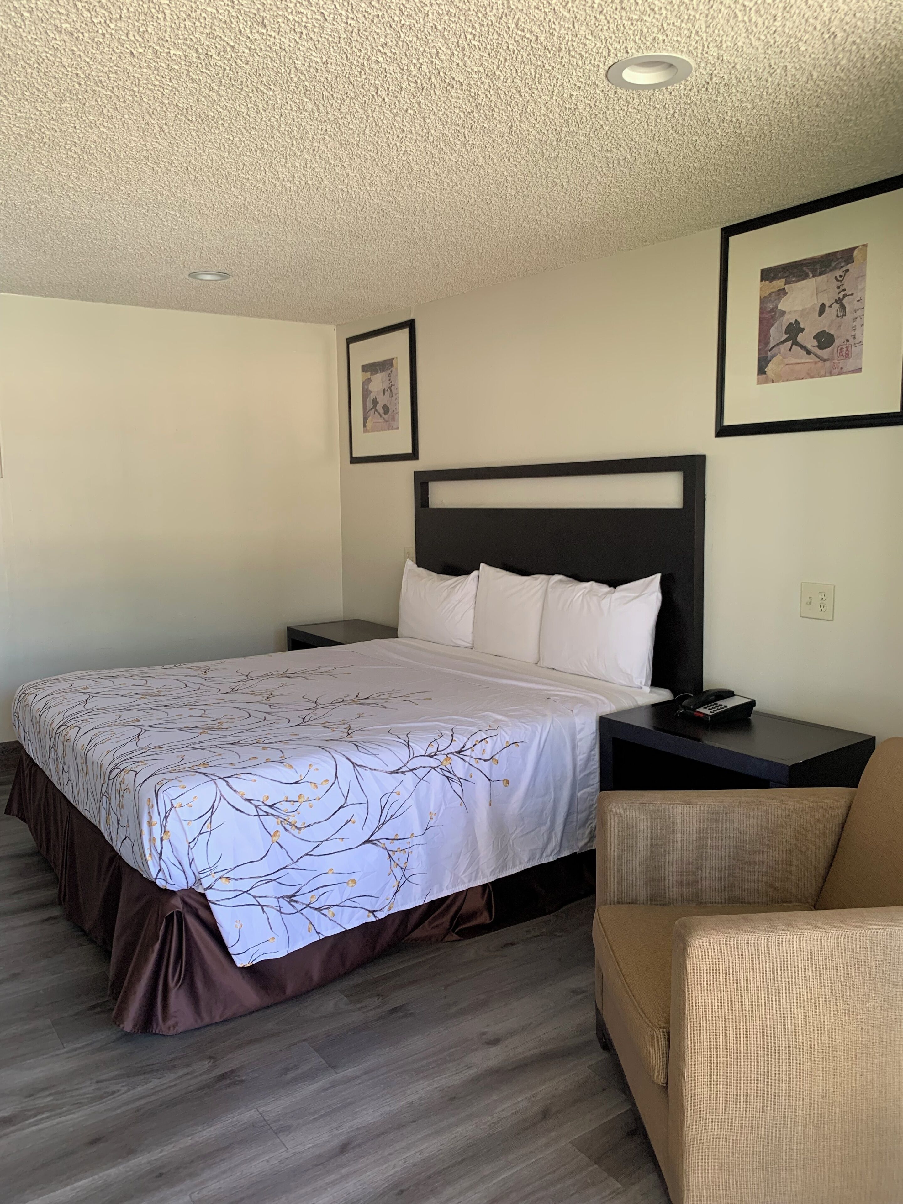 A hotel room with a bed, a nightstand, a chair, and a wall-mounted phone.