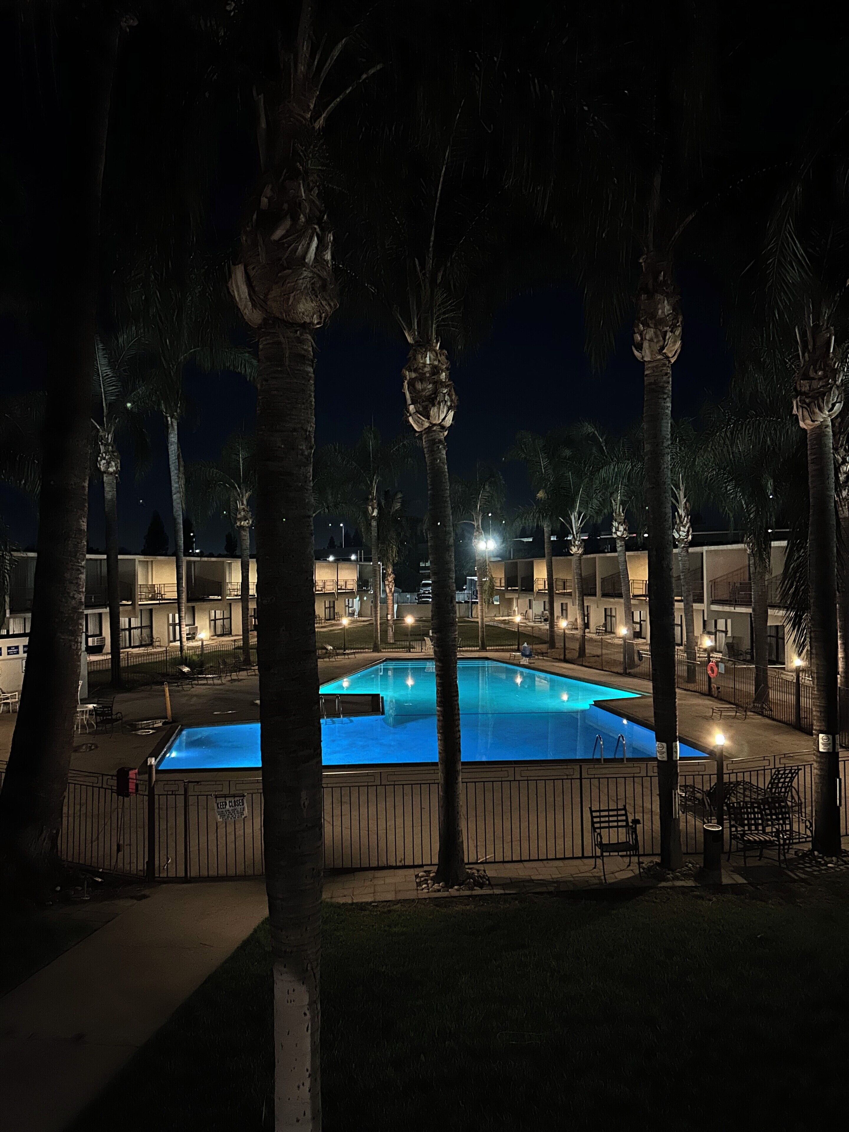 Vista nocturna de una piscina rodeada de palmeras y edificios.