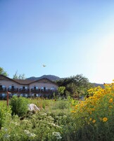 Un hotel con varios balcones, rodeado por un paisaje natural con flores silvestres y árboles.