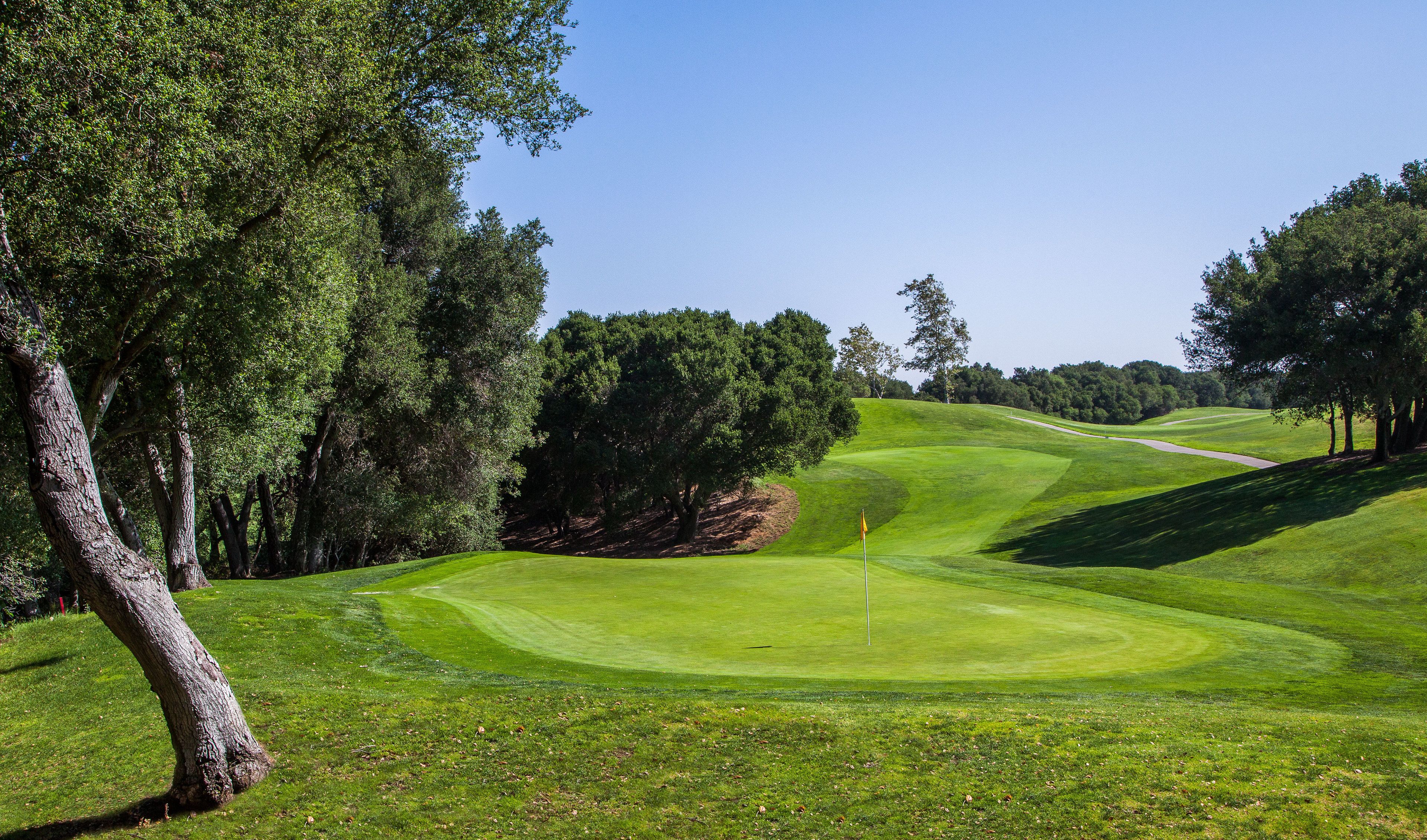 Un campo da golf con fairway curato, un putting green e un’asta di segnalazione.