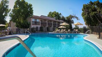 Outdoor pool, open 7 AM to 10:30 PM, pool umbrellas, sun loungers