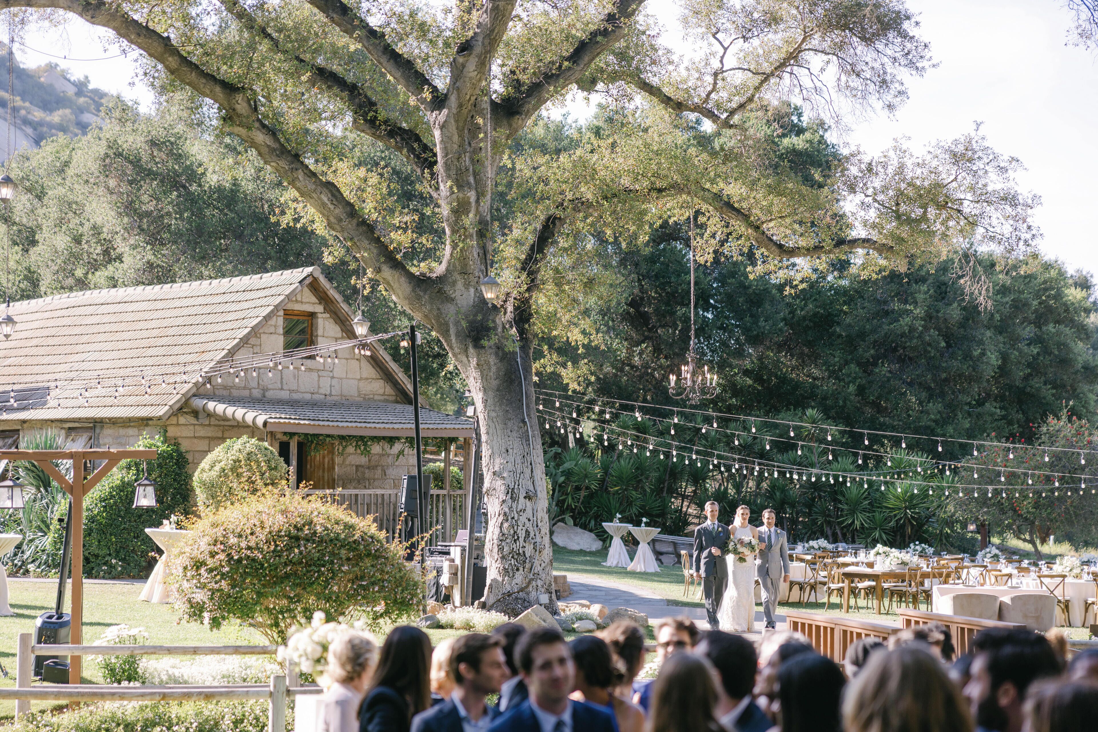 Une cérémonie de mariage en plein air, avec des invités assis à des tables, un grand arbre et des guirlandes lumineuses.
