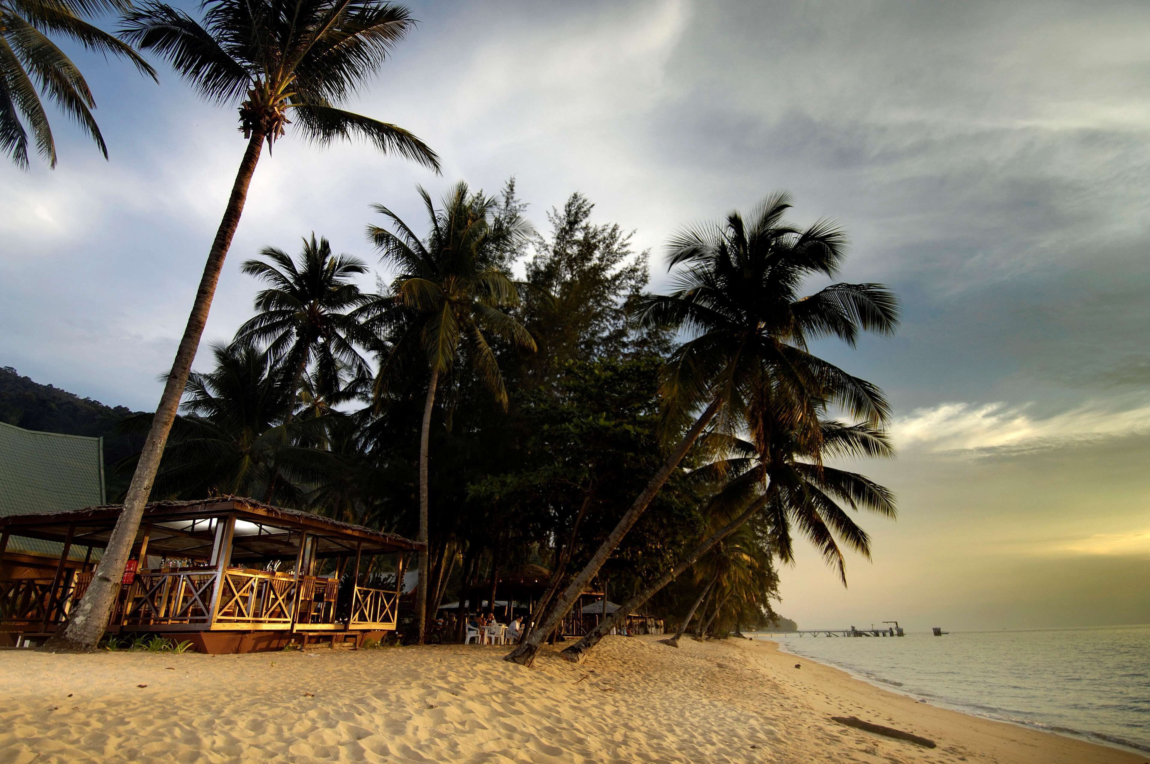 Une plage bordée de palmiers, une structure en bois et une vue sur l’océan.