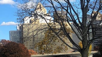 A park with a large tree and a building with a dome in the background.