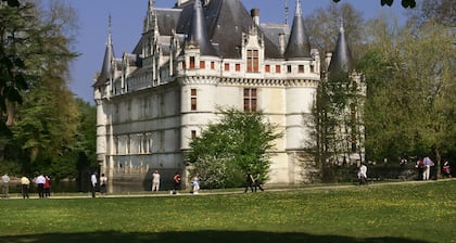 Ibis Amboise