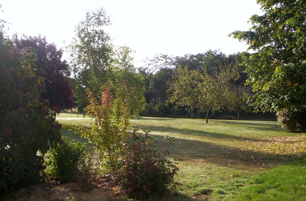 Jardin