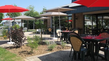 Terras